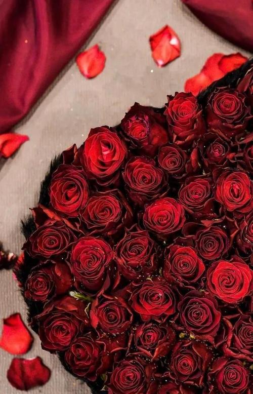 红玫瑰的浪漫与传承（探寻红玫瑰的深意与文化底蕴）