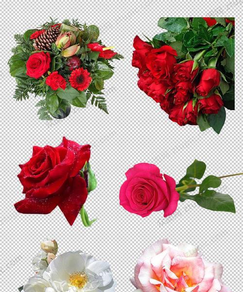八朵红玫瑰花的寓意（传递爱的语言-玫瑰花）