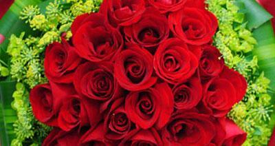 红玫瑰的含义与象征（探寻红玫瑰的花语和历史背景）