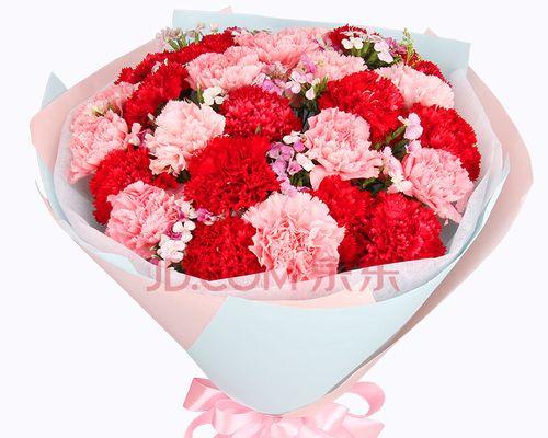 红色康乃馨的花语与寓意（传递爱情和热情的红色康乃馨，代表着美好的愿望与祝福）