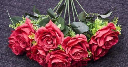 红色玫瑰的花语与寓意（传递爱与热情的红色玫瑰）