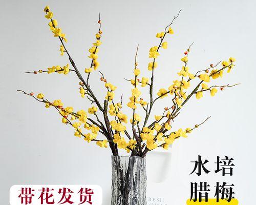 插枝水中催开樱花，你get了吗？（干枝插水能否开花，如何操作，应注意的事项）