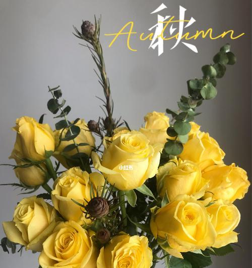 黄玫瑰的花语与象征——传递温暖与友谊的关键（花开花落，黄玫瑰之恩）