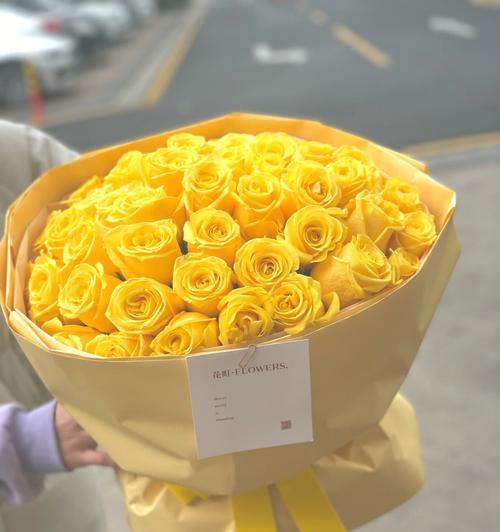 黄玫瑰的象征意义（探索黄玫瑰背后的寓意之花）