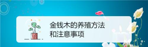 金钱木的养殖秘籍（如何在家中成功种植金钱木）