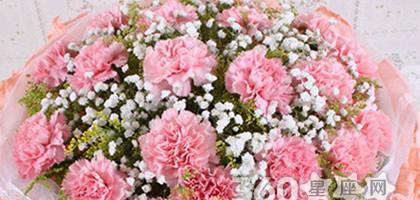康乃馨花语代表的含义及传达的情感（解读康乃馨花语，感受爱与尊敬的力量）
