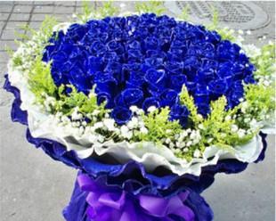 蓝色妖姬——代表爱情的永恒之花（送给女朋友的蓝色妖姬，寓意深远）