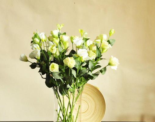 洋桔梗花语揭示白色花的美妙之处（洋桔梗，纯洁无瑕的花朵之语）