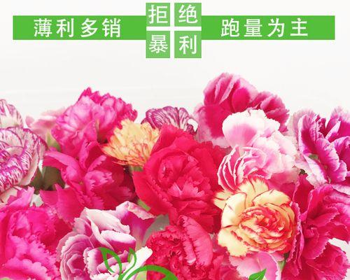 鲜花如何保鲜更长时间（教你几种保鲜鲜花的办法）