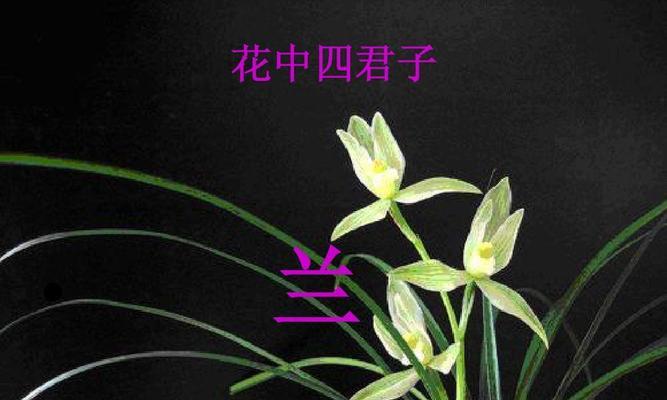 花中四君子是指什么花（关于梅兰竹菊的品质）