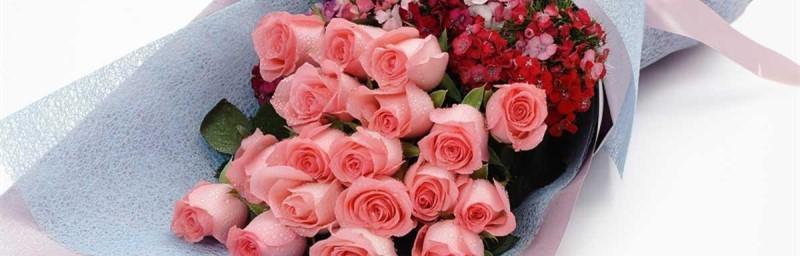 九朵粉玫瑰的寓意与象征（赋予爱情以美丽永恒的象征花束）