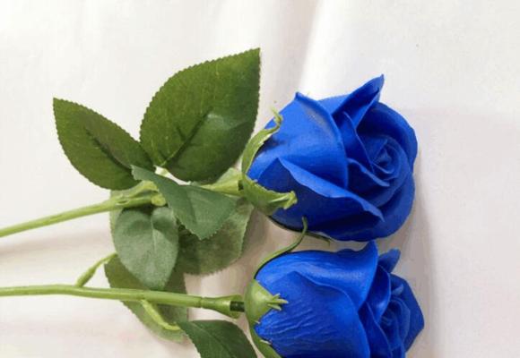 深蓝玫瑰的象征与意义（探索深蓝玫瑰的神秘之美）