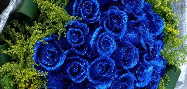 蓝色玫瑰花语（揭示蓝色玫瑰的心灵秘密）