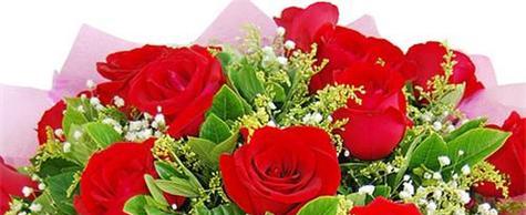 玫瑰花礼盒赠送19朵的象征意义（以玫瑰花送19朵）