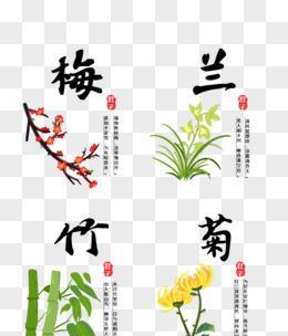 梅兰竹菊（传统美学中的四君子花卉及其意义）