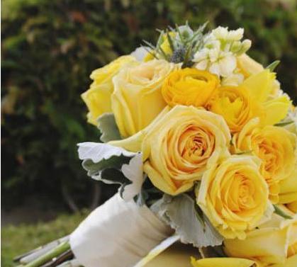 黄玫瑰的情感象征与意义（情侣之间送黄玫瑰的真实寓意解读）