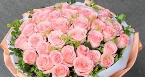 十一朵粉玫瑰的象征意义（用鲜花表达情感的艺术之美）