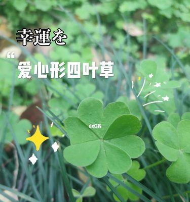 四叶草的象征意义与神秘力量（探寻四叶草的起源与传说）