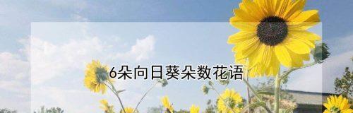 向日葵花语（传递生命力的美丽）