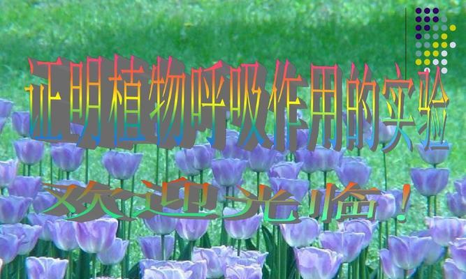 植物的呼吸作用（植物呼吸作用的意义及其影响）