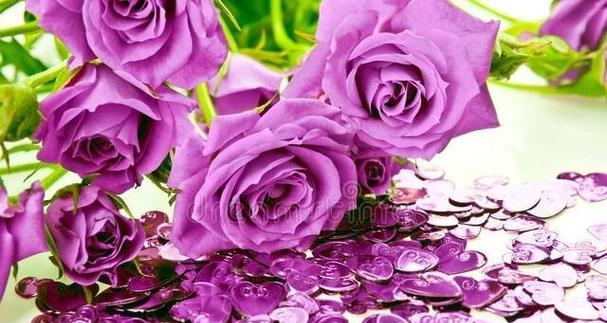 紫玫瑰花语的深刻寓意（探寻紫玫瑰的秘密）