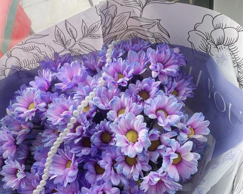 紫色小雏菊的花语和寓意（紫色小雏菊的美丽与深刻的寓意）