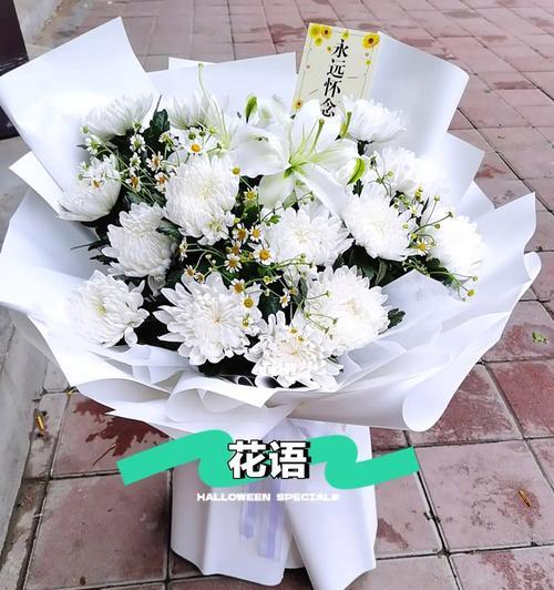 白菊的花语与意义（探寻白菊的传统象征与现代诠释）