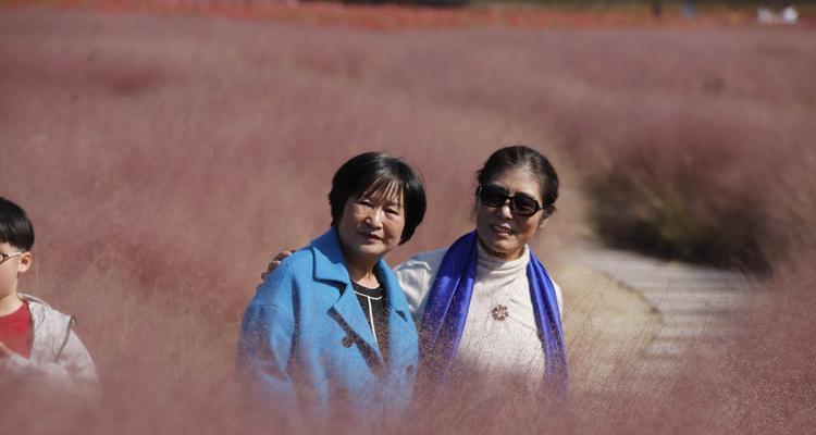 粉黛乱子草的花语（探索粉黛乱子草的花语之美）