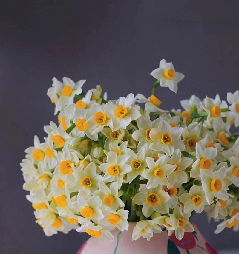 花语多情——以玫瑰花为主题的文章（探寻玫瑰花所蕴含的浓情蜜意）