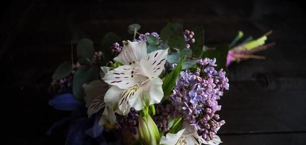 家人之花——百合花的花语（用百合花讲述家人之情）