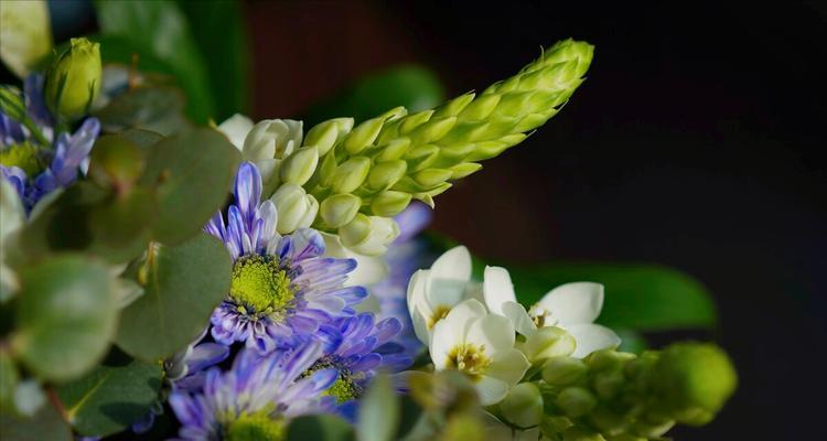 守护一生的花语（以什么花的花语代表守护一生）