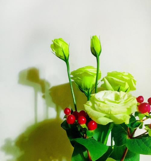 以向日葵花为主题的自信花语（自信的力量与向日葵的花语）