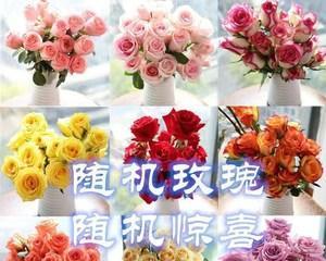 玫瑰意义（探寻影星玫瑰的情感世界）