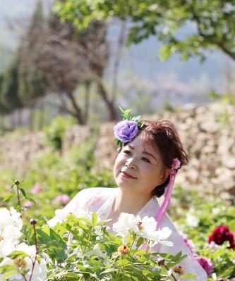 牡丹花的美丽与寓意（探索牡丹花的神秘之处——祝福）