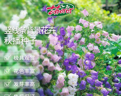 勿忘我花种子怎么种（勿忘我的种植方法及注意事项）