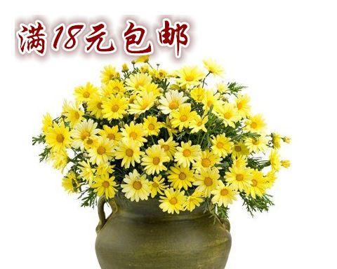 波斯菊花如何种植（波斯菊种植方法和时间）