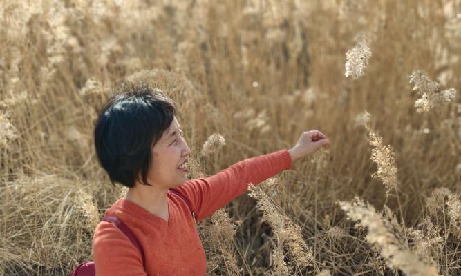 芦苇的花语——坚韧、静默与自由（探寻芦苇的花语）