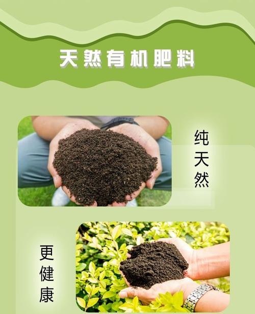 农家肥腐熟的意义与方法探析（有效利用农家肥改善土壤质量）