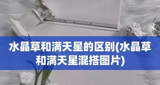 水晶草花语解析——寓意与象征（探索水晶草的隐含寓意）