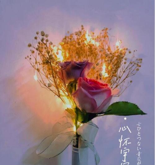 爱情至死不渝的植物——探寻花草世界中的真爱（以植物为媒介）