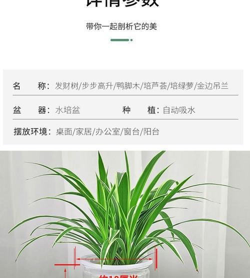 以象征步步高升的植物为主题的文章（探索自然界中具有象征意义的植物）