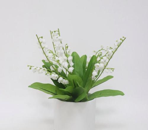 纯洁之美——植物的象征意义（用自然之语述说纯净无暇的境界）