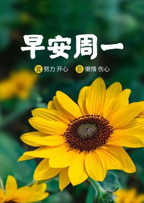 以象征努力奋斗的植物为主题的文章（奋斗力的象征——努力生长的植物）