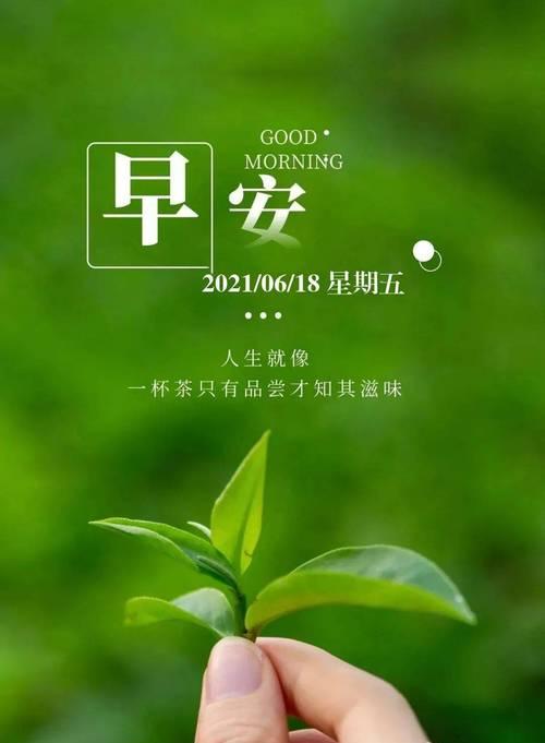 以象征努力奋斗的植物为主题的文章（奋斗力的象征——努力生长的植物）