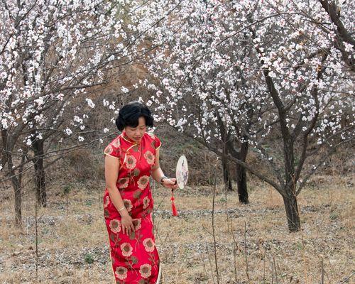 杏花花语的深刻寓意与美好祝福（绽放春天的幸福与希望——杏花花语的探索与传承）