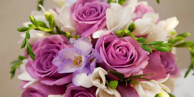 紫罗兰花（紫罗兰花的意义及其在不同文化中的象征）