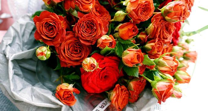 玫瑰花的花语解读——16朵玫瑰花代表什么（解读16朵玫瑰花的传达的含义）