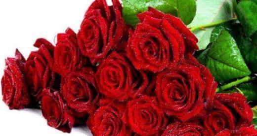 17朵玫瑰的花语与含义（探寻17朵玫瑰背后的深意）