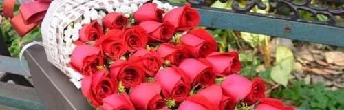 33朵红玫瑰花的花语是什么意思（探寻33朵红玫瑰花的深层含义）