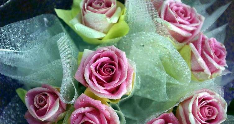 五朵玫瑰花的花语传递爱与感激（用五朵玫瑰花向心爱的人表达心意）